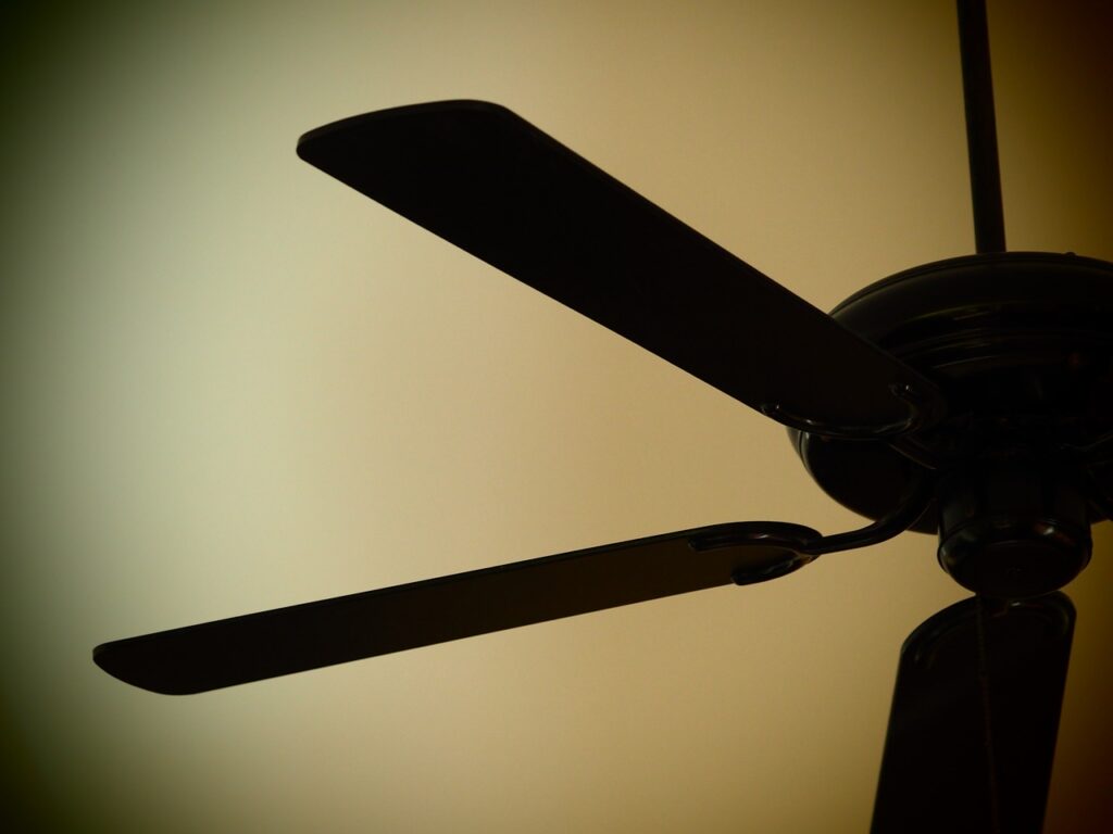 ceiling fan, fan, decorate